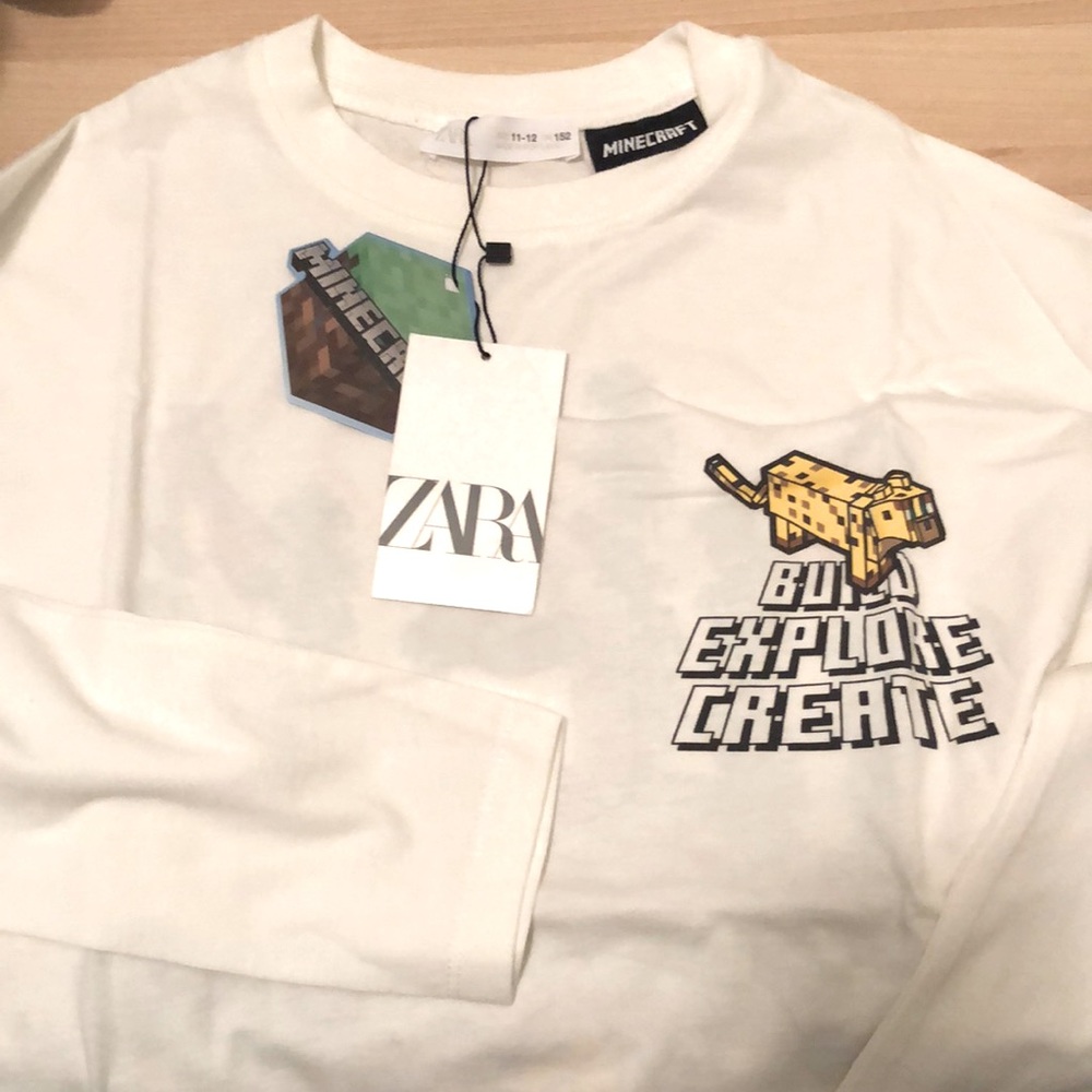 Minecraft long sleeve t-shirt